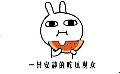 热门今日吃瓜黑料,揭秘娱乐圈最新吃瓜黑料，真相令人震惊！