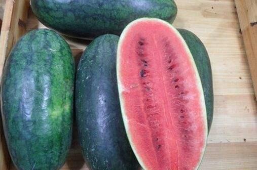 黑料吃瓜网站鄂州一家人,黑料吃瓜网站掀起热议风暴